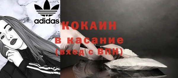 крисы Гусь-Хрустальный