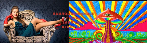 ПСИЛОЦИБИНОВЫЕ ГРИБЫ Гусиноозёрск