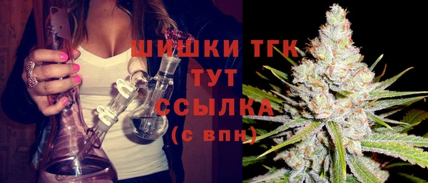 мяу мяу мука Гусев